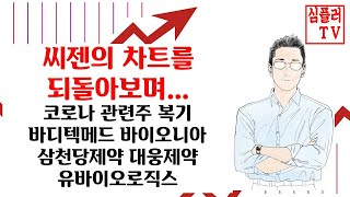 진단키트 대장주 씨젠의 차트를 되돌아보며 / 바디텍메드 바이오니아 삼천당제약 대웅제약 유바이오로직스 차트분석