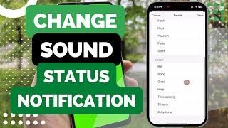 How To Change Status Notifications Sound On WhatsApp