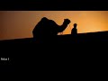 camel drivers at sunset with arabian music for sleep relaxation u0026 study