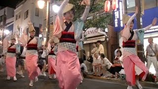 鳳連　2017 神楽坂まつり