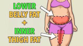 LOWER BELLY FAT + INNER THIGH FAT WORKOUT: LOSE STUBBORN FAT
