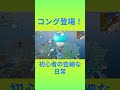 大怪獣バトル？！　 fortnite フォートナイト fortnite　 チャプター6シーズン１　 初心者