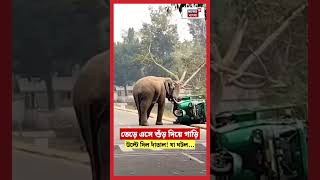 তেড়ে এসে শুঁড় দিয়ে গাড়ি উল্টে দিল Elephant ! যা ঘটল... | N18S | Guwahati | #shorts