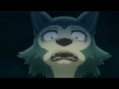 Beastars Legoshi Edit Youtube