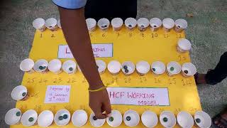 LCM and HCF working model