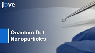 Correlative Light- \u0026 Electron Microscopy Using Quantum Dot Nanoparticles l Protocol Preview