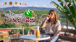 [ EP2 } ใกล้ชิดธรรมชาติ ตักบาตรพระสงฆ์ บ้านผาสิงห์ จังหวัดอุดรธานี - ตอนที่ 2