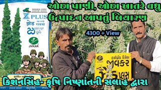 # ઓછા પાણી, ઓછા ખાતરે વધુ ઉત્પાદન આપતી દિવેલા (એરંડાની) જાત |divela ni kheti# એરંડા #દિવેલાની ખેતી