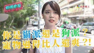 【街訪】你是貓派還是狗派？寵物過得比人還爽？！｜街頭巷尾大小聲