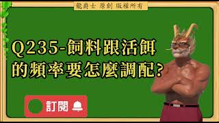 【龍爵士】千問千答 Q235 飼料跟活餌的頻率要怎麼調配