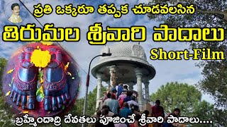 శ్రీ వారి పాదాలు l Sri Vari Padalu Tirumala | tirumala srivari padalu facts | srivari padalu history