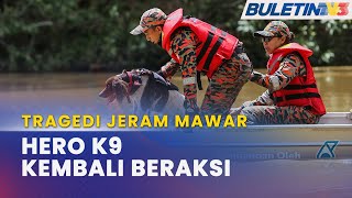 TRAGEDI JERAM MAWAR | Hero K9 Batang Kali Dan Turkiye Bantu SAR