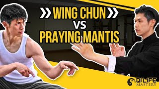 Wing Chun vs Mantis Kung Fu Techniques
