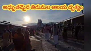 తిరుమల మహాద్వార దర్శనం | Tirumala Gopura kalasam Darshan | Wonderful View of Mahadwaram of Tirumala