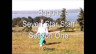 Bagua Zhang Vol #3 07   Bagua Seven Stars Short Staff #1