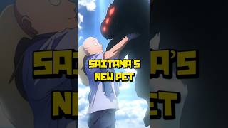 Saitama Adopts a Disaster Level Monster | One Punch Man Manga Saitama's Dog Explained
