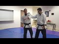 7.1.0 u0026 7.2.0 wansu section 7 bunkai counter to a punch