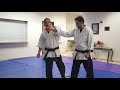 7.1.0 u0026 7.2.0 wansu section 7 bunkai counter to a punch