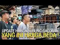 NEMU LAGI ! KIOS MODEL BEGINIAN HARGANYA SUKA-SUKA ASAL JADI PASAR BURUNG PRAMUKA HARI INI