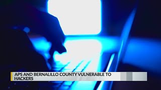 Cyber security expert weighs in on recent Bernalillo County, APS attack