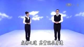 【妙手入經藏】20141113 - 三十七助道品 - 定根4-1