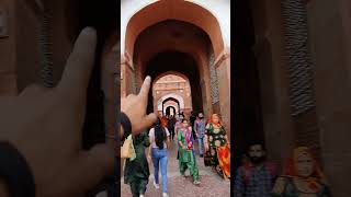 #72 Rajasthan ki gangaur Puja in bikaner 🥹 #shorts #ytshorts