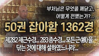 잡아함경... 1697회, 제282 제근수경... 283 종수경... 모든 근(根)을 닦는 것에 대해 설하였느니라...