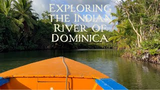 Sailing Around the World - Exploring the Indian River of Dominica - Sailing New Horizons - Ep.99