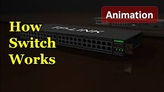 Animation of working of Switch | How switch works