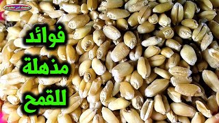 فوائد القمح الرائعة لتنظيف الجسم من السموم وللشعر 30 فائدة فى القمح !!