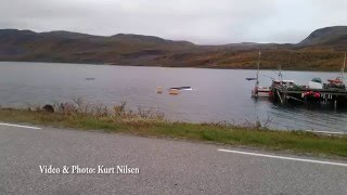 Walrus sinks a boat - amazing video clips