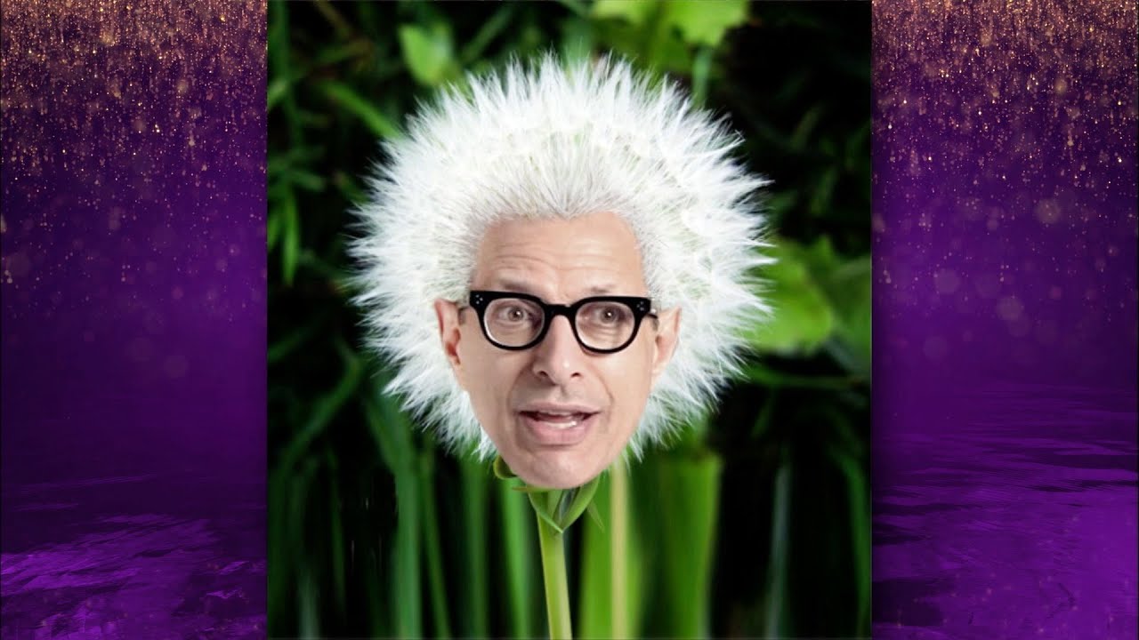 Jeff Goldblum Meme