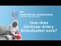 How does genicular artery embolisation(GAE) relieve osteoarthritis knee pain?