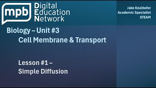 MPB Biology Unit 3 Lesson 1: Simple Diffusion