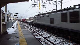 2019年2月10日（日） 北陸本線 貨物列車（4060レ・EF510-509） 小舞子駅 通過動画！！！