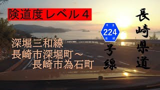 【車載動画】長崎県道224号深堀三和線029