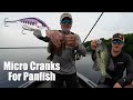 Micro Crankbaits for Panfish