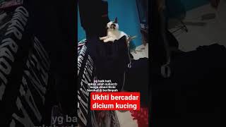 ukhti bercadar dicium kucing ما شاء الله #shorts #viral #cute