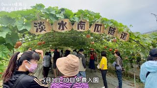 2023淡水南瓜隧道｜免費參觀