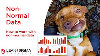 Working with Non Normal Data - Transforming Data