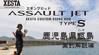 XESTATV エギングロッドアサルトジェットtypeS 実釣解説