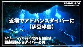 【水中世界】伊豆でアドバンスダイバーになる