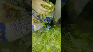 still the mothers of rural Bengal cut different vegetables in boti#food #cooking #recipe #music