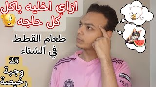 كيف أشجع قطتي على تناول الأكل الصحي في المنزل ؟ - هخلي قطتك تاكل الاخضر و اليابس 💕25 وجبة رخيصه للقط