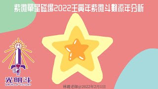 紫微單星磁場2022 壬寅年紫微斗數流年分析@林麗教室