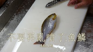 不要再亂噴了‧魚鱗