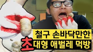 ※충격주의) 철구 손바닥만한 초대형 애벌레 먹방!! 아프리카 베어그릴스(16.05.11) :: Muk Bang