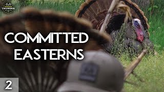 Drake Steam Rolls Gobbler | Wisconsin Turkey Hunt | Spring Thunder