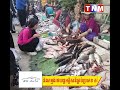 ត្រីធំៗត្រូវជាបណ្ដើរៗហើយ ក្នុង​តំបន់ឆ្នុកទ្រូ ស្រុក​បរិបូណ៌