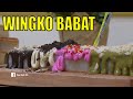 WINGKO BABAT Kekinian Berwarna-warni | TAU GAK SIH (06/08/20)